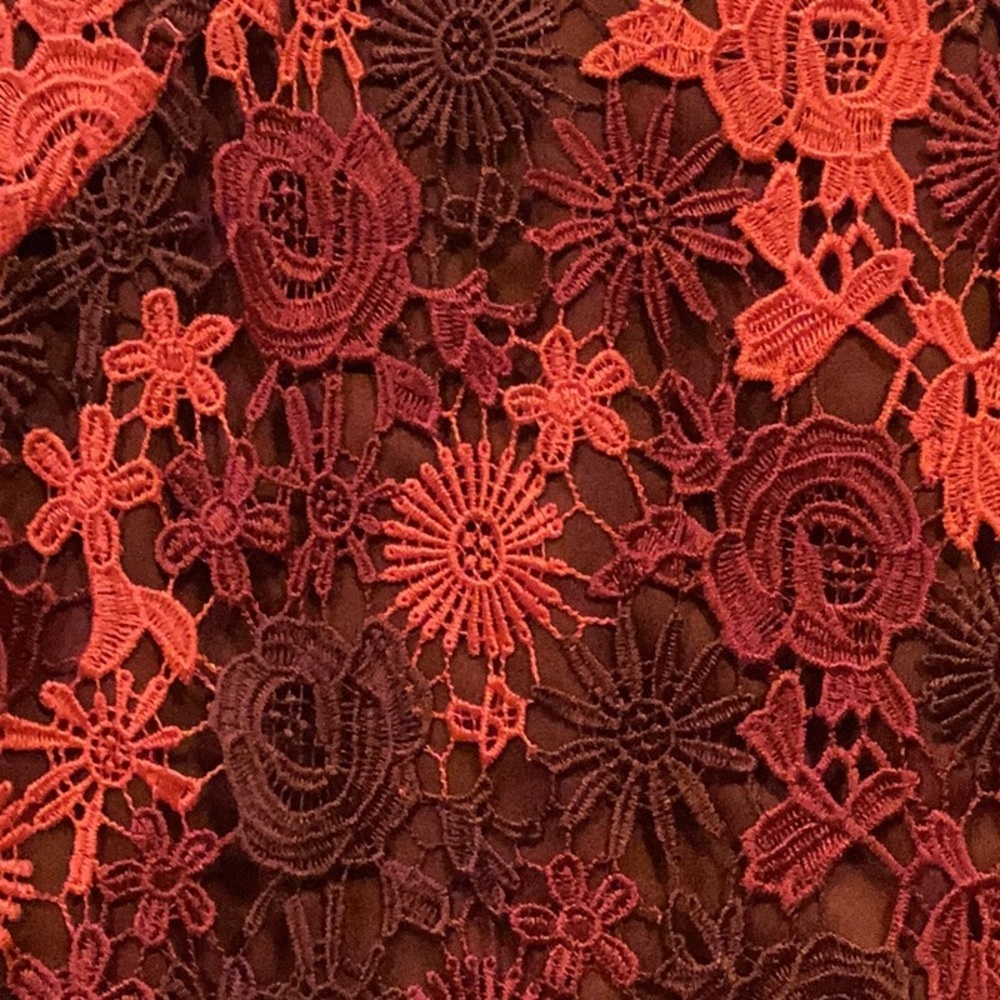 Eva Franco Anthropologie Embroidered Flounce Dress Floral Lace wedding prom - Picture 5 of 7